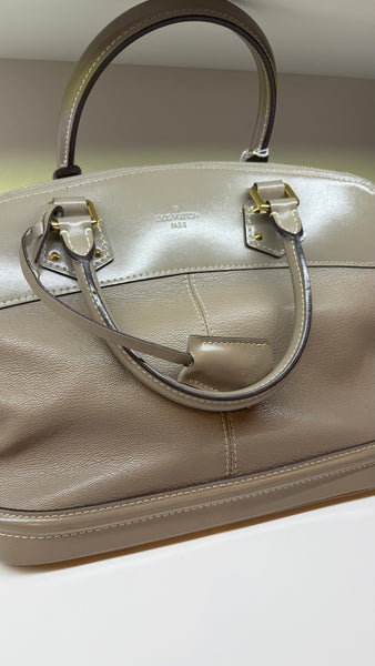 Louis V Grey Beige Bag